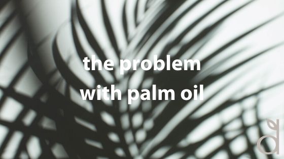 the problem with palm oil