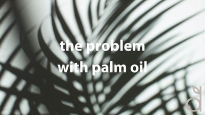 The problem with palm oil