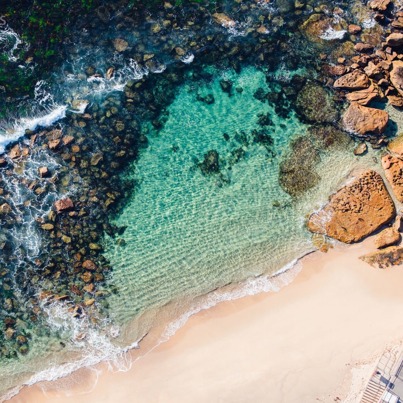 Ocean Powered Hair Care: Sea Moss Shampoo & Conditioner Bars