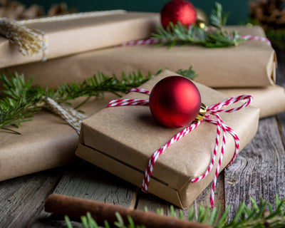 Dindi gift guide : eco-friendly gift guide for $50 and under!