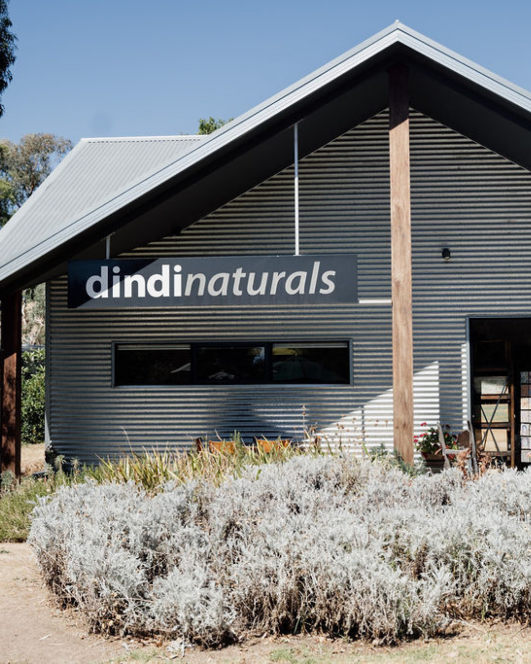 A New Chapter for Dindi Naturals