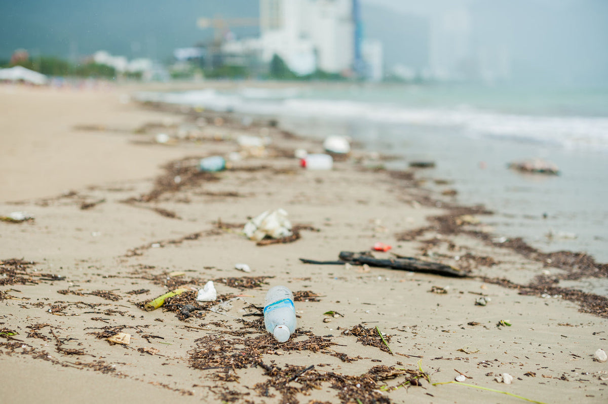 War on Waste