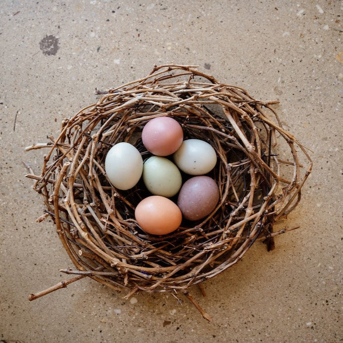 egg soap individual