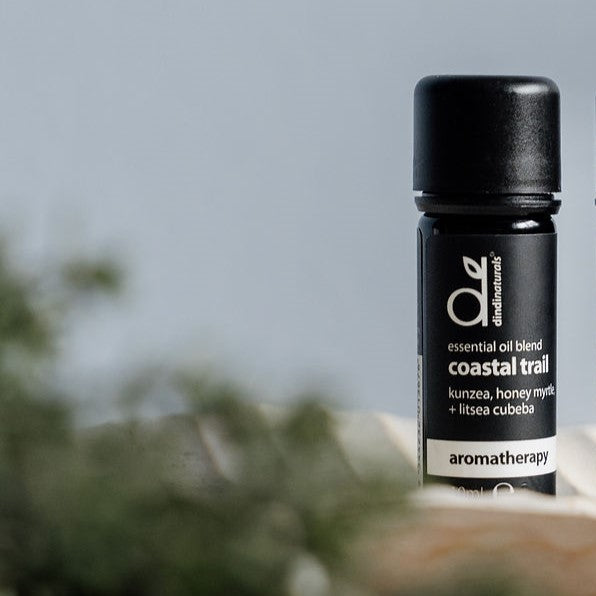 essential oil blend coastal trail 10ml