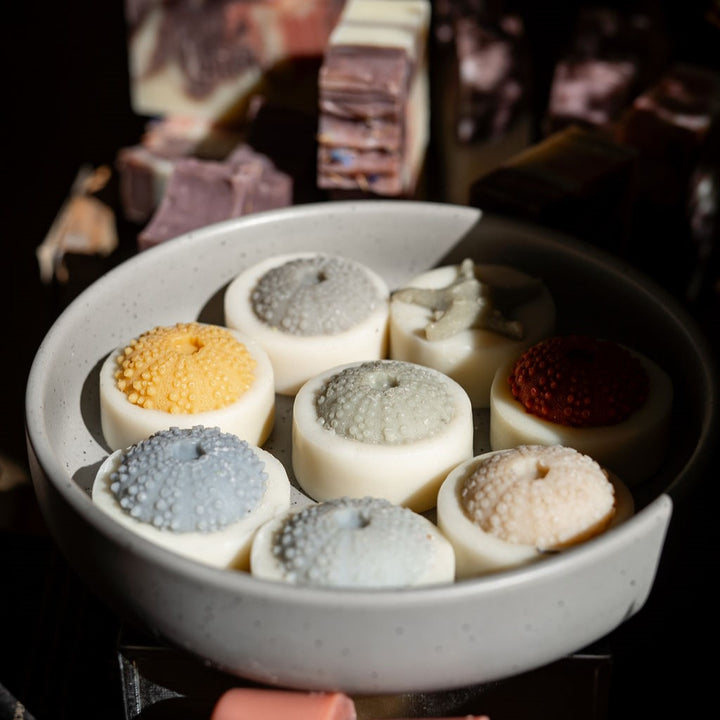 shell soap