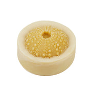 shell soap