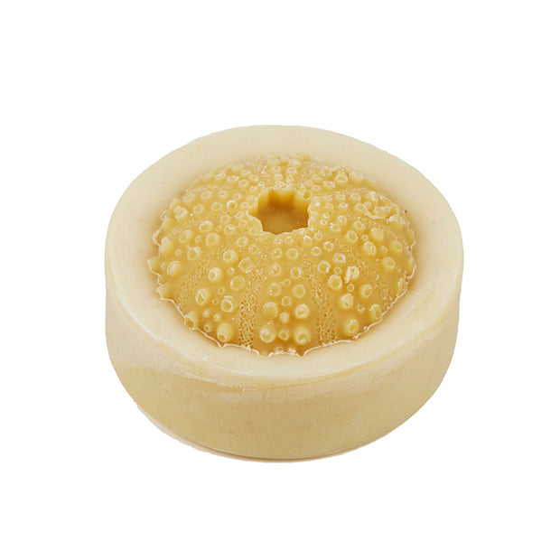 shell soap