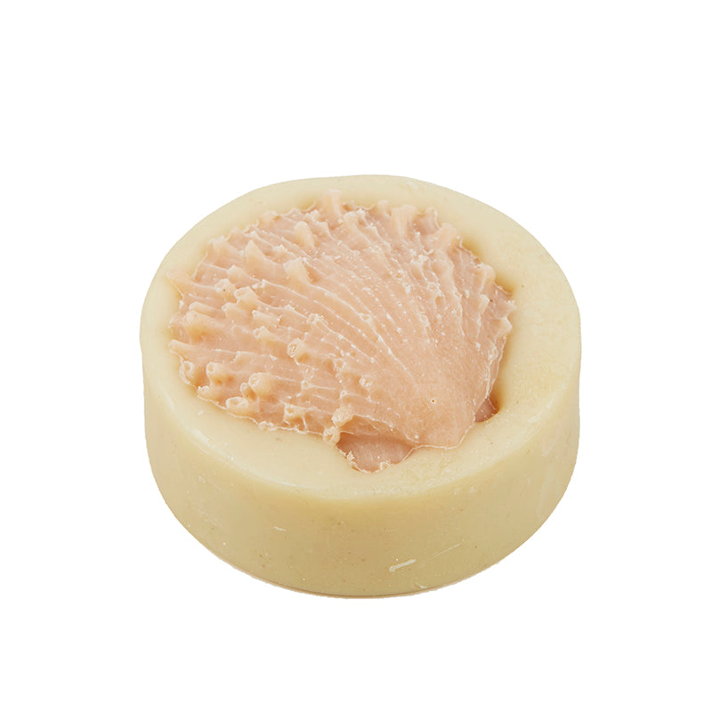 shell soap
